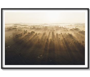 Amanecer para el recuerdo